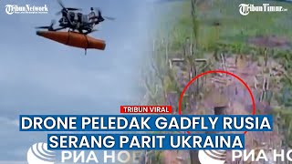 Drone Peledak Baru Rusia 'Gadfly' Serang Parit Tentara Ukraina