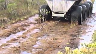 Вездеход 8х8 Соломономобиль-5, Васюганское болото, мох