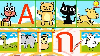 เขียน ABCD vs เขียน กขคง สื่อการสอนอนุบาล ปฐมวัย