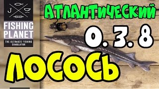 Fishing Planet Альберта Атлантический Лосось на Воблер | Atlantic Salmon in Alberta | Обзор 0.3.8