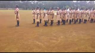 stato 2016 westlands scout reloaded