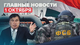Новости дня — 1 октября: Саакашвили задержан в Грузии, вице-президент Сбербанка в розыске