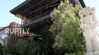 UAE: Singapore rainforest pavilion offers oasis for Expo 2020 Dubai guests
