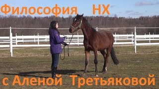 Философия НХ.  Natural Horsemanship. Семь игр. Мастеркласс Алёны Третьяковой.
