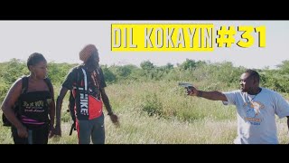 DIL KOKAYIN # 31 ( Anpami chimerrr )