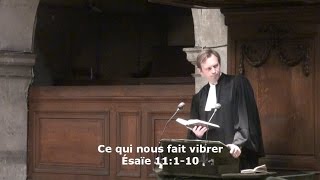 Ce qui nous fait vibrer  (Ésaïe 11:1-10)