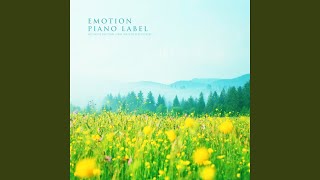 인생은 흐르는 물처럼 (Life Is Like Flowing Water)