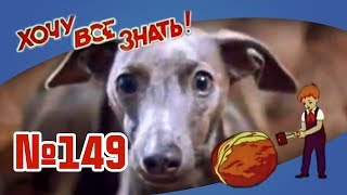 Киножурнал "Хочу всё знать" Выпуск №149 1983 г СССР