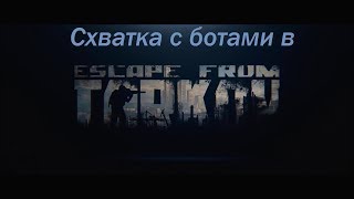 Рачина в схватке с ботами в Escape From Tarkov (EFT offline)