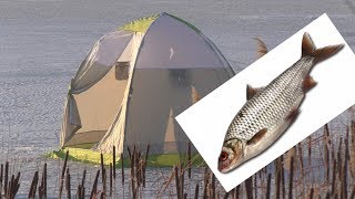 Ловля плотвы на реке Бешка. My fishing.