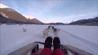 Passeio de treno com huskies