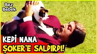 NANA KEDİ OLUP ŞOKER'E SALDIRDI! - Bez Bebek 74. Bölüm