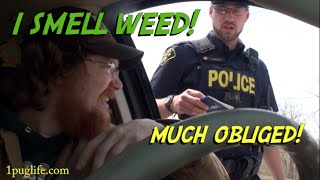 what to do when the cops smell weed!