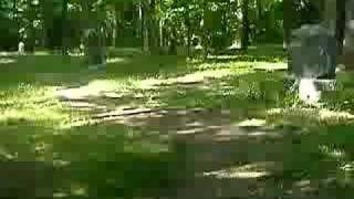 EVP Caught In A Cemetery