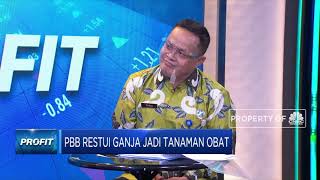 Indonesia Sesalkan Keputusan PBB Restui Ganja Jadi Tanaman Obat