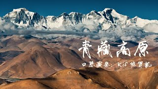 口琴也吹得了这首歌?! 而且最后那高音也太....