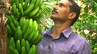 Greentouch Videos