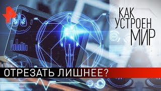 Отрезать лишнее? "Как устроен мир" с Тимофеем Баженовым (28.01.20).
