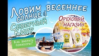 Северный Кипр - Ореховый магазин, ягода годжи. Ловим солнце и выбираем помидоры :) - март 2019