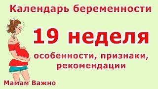 19 неделя беременности: особенности, изменения, рекомендации