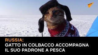 Russia: gatto in colbacco accompagna il suo padrone a pesca