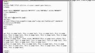 Basic HTML for Web Design : Web Design Alt Text