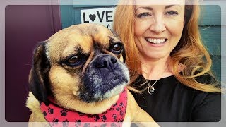 Interviews, BBC & Vegan Food in London | WhispersRed Vlogs