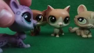 Lps: сериал Коты- Воители 8 серия.