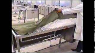 Arterial embalming for teaching purposes 2 of 2
