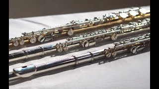 $600 vs $10000 vs $30000 flute! WORTH IT???