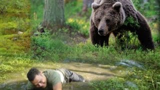 ? ШОК/ ВСТРЕЧА С МЕДВЕДЕМ   НА БОЛОТЕ/