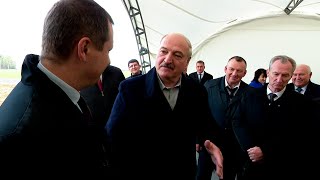 Лукашенко: Половину этой картошки я ОМОН отвёз в семьи!