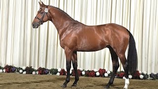 Caracho v. Cassilano - Quick Star