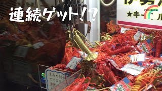 クレーンゲームで奇跡が！！