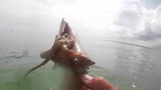 Sailing from Ft Myers to the Florida Keys