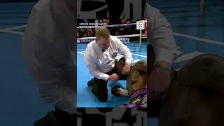 AJ WIPES OUT Whyte #shorts