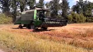 Комбайны Deutz Fahr 4065, 4075, 4080. Уборка гречихи.