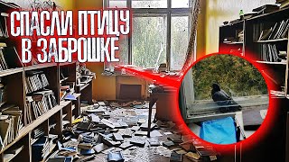Спасли ПТИЦУ в ЗАБРОШКЕ. Заброшенное АВИАЦИОННОЕ училище. Заброшенный колледж | Abandoned college