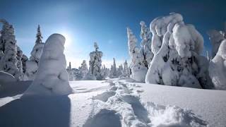 Yiruma Playlist (Collection)