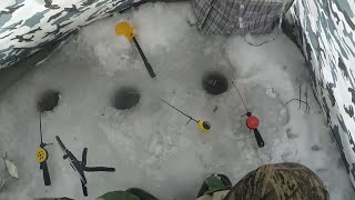 Зимняя рыбалка 2019.Рыбалка на Осколе,в снегопад