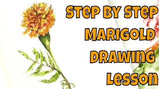 Pen and Ink No Pencil How to Draw a Marigold Flower Step by Step