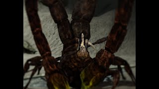 Dark Souls 2 #9  Как убить Скорпиона Нажку/How to kill Scorpioness Najka