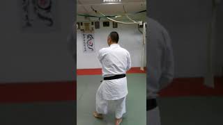 Пинан Йодан Pinan Yondan