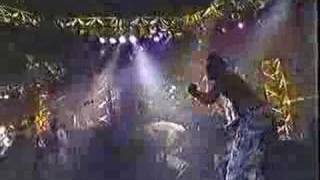 fishbone - sunless saturday