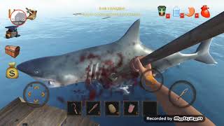 RAFT -  Выживание. С чего начать ?
