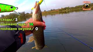 твичинг щука жор осень orbit 110, orbit 90, asura 925, slender pointer 97... 07.10.2017 г.