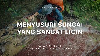 GUNUNG GAWALISE - Atap Negeri Sulawesi Tengah #1