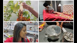 Preparing lunch using vegetables from garden/Shopping few kitchen essentials/Night skin care routine