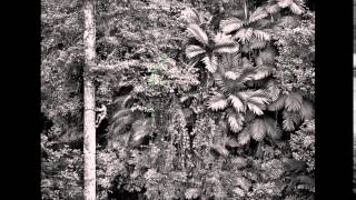 紀實攝影家薩爾卡多 (Sebastiao Salgado)在TED演講