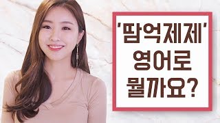 [어원] SPIRE / ANTI | 서미소랑